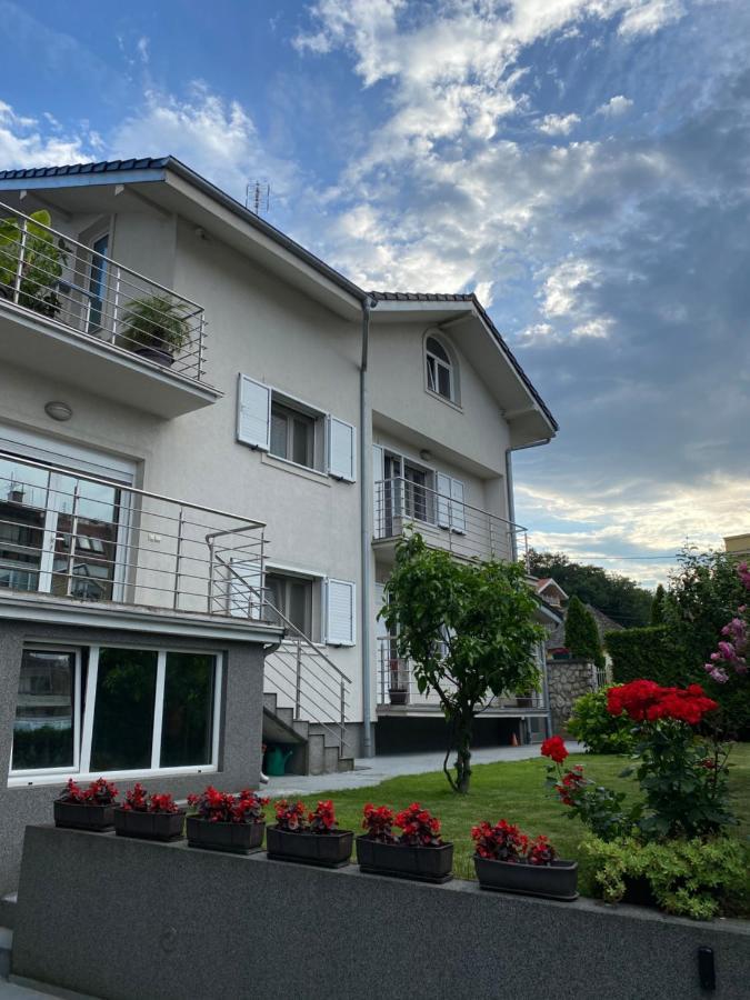 Villa Mara Golubac Ngoại thất bức ảnh