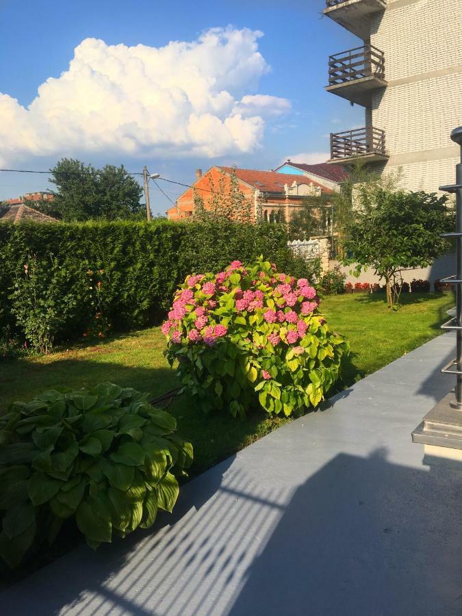 Villa Mara Golubac Ngoại thất bức ảnh